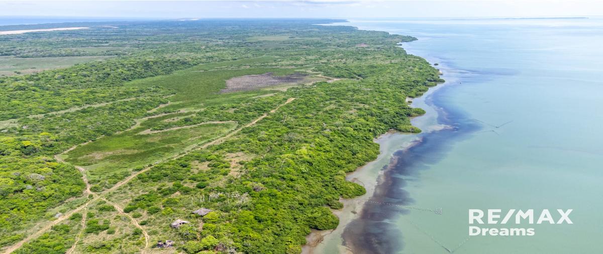 Foto de terreno habitacional en venta en cabo rojo , cabo rojo (novillos) [ganadera], tampico alto, veracruz de ignacio de la llave, 25315223 No. 04